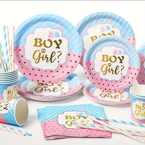 120 PACK  Blue & Pink Disposable Tableware Gender Reveal Party Set